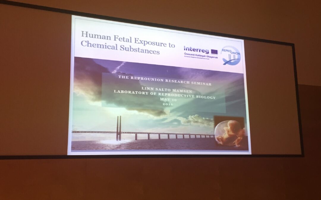 Successful ReproUnion Research Seminar