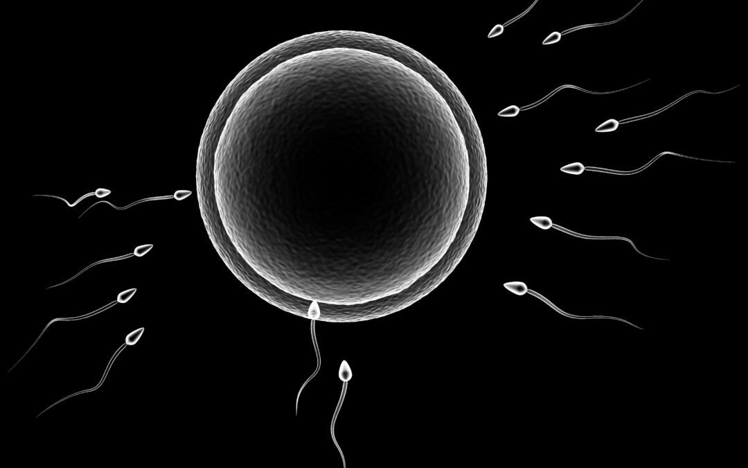 New ReproUnion Paper Published: Average Sperm Count Remains Unchanged Despite Reduction in Maternal Smoking