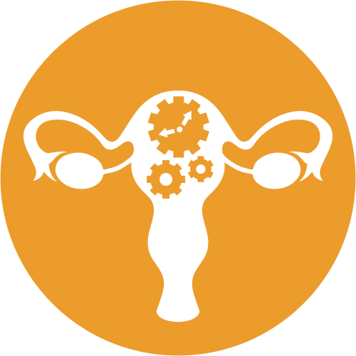 Highlights from the journey towards creating a human artificial ovary