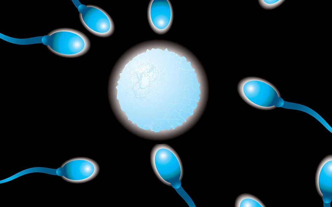 Young men take fertility for granted